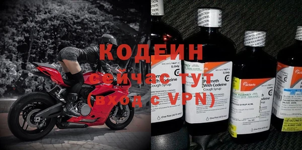 дмт Абаза