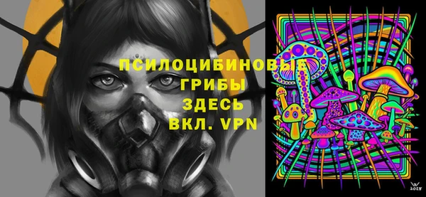 дмт Абаза