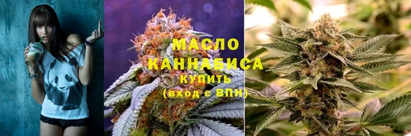 дмт Абаза