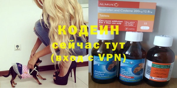 дмт Абаза