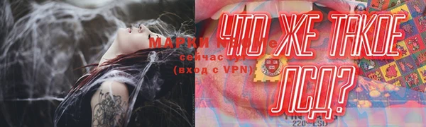 дмт Абаза