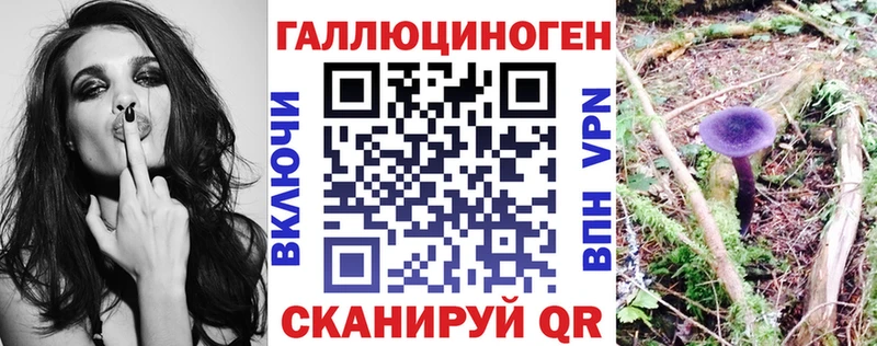 блэк спрут как зайти  как найти   Агидель  Галлюциногенные грибы мицелий 